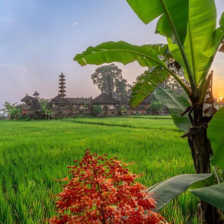 Niki - Serenity And Elegance - Villa In Ubud With Panoramic Temple Views Dış mekan fotoğraf